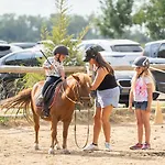 Les Hameaux De Camargue