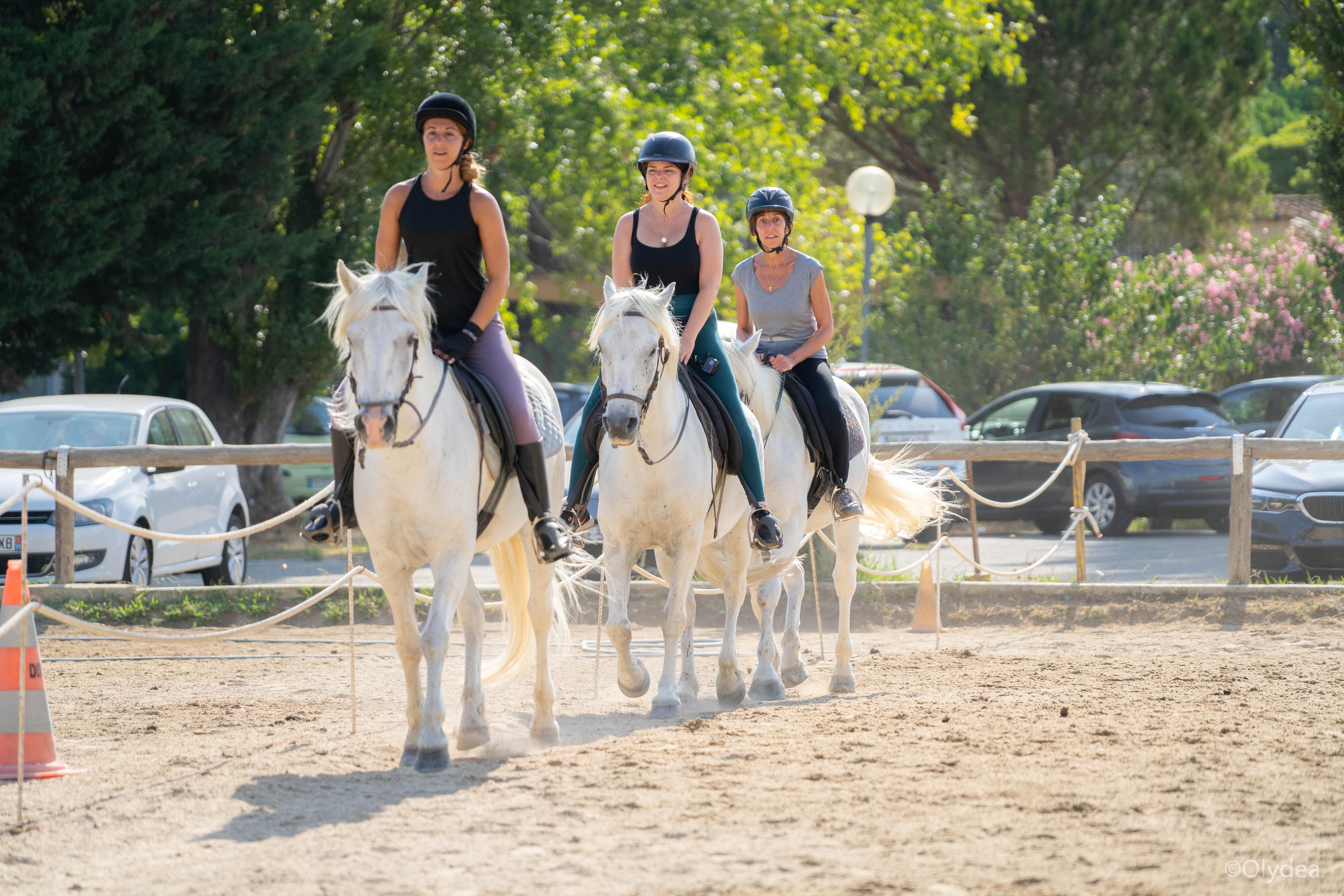Les Hameaux De Camargue *